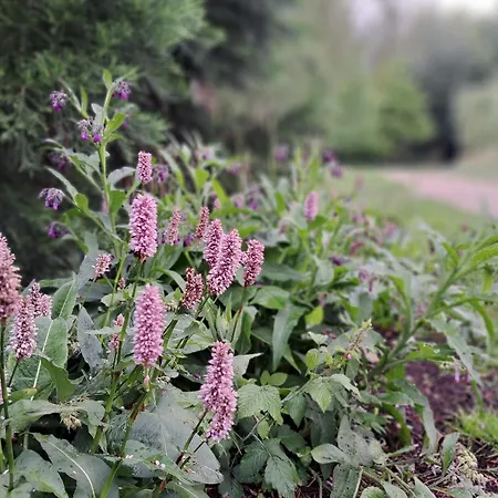 Wandelweg Kamp-Lintfort