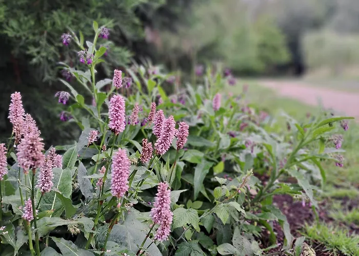 Wandelweg Kamp-Lintfort