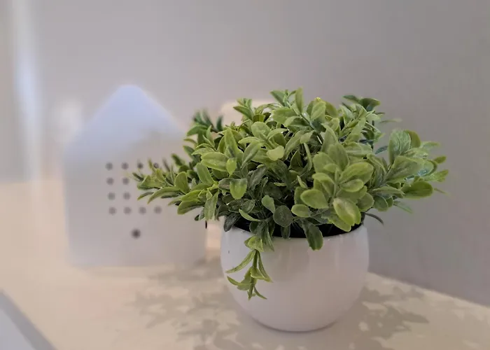 Appartement Wandelweg *