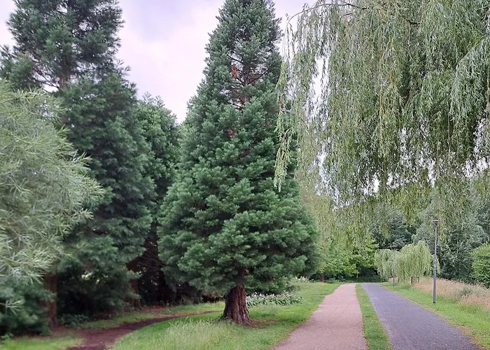 Appartement Wandelweg Kamp-Lintfort