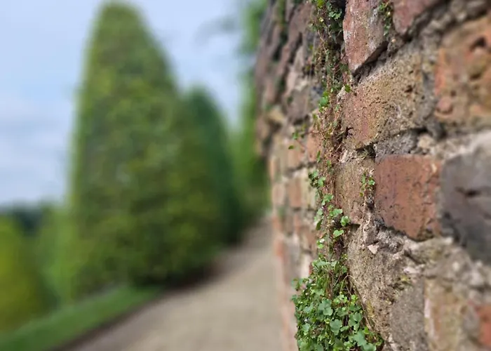 Wandelweg